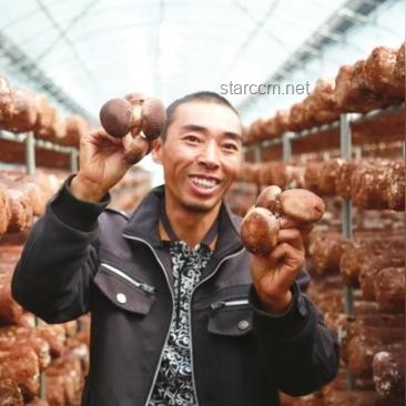 茅台股东大会前夜晚宴揭秘：茅台如何悄然变身蓝莓汁？